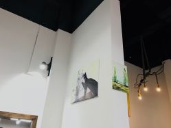 -Moyue HAIR SALON