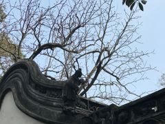 -豫园