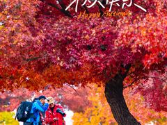 -五角枫生态旅游景区