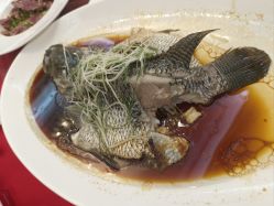 -曼格纳婚礼艺术中心(张江店)