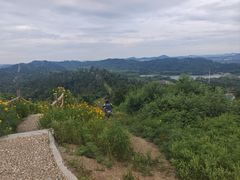 -青龙山国家森林公园