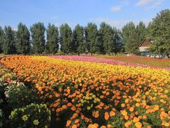 -富田农场