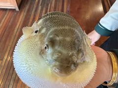 -永安鱼庄·镇江菜(丁卯店)