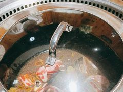 -桃源村铁锅炖鱼(体育馆道店)