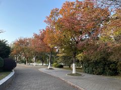 -云龙湖旅游景区