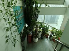 -博睿通达汽车修理站