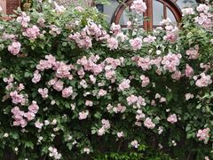 -常熟路(地铁站)