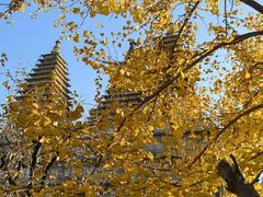 -北京石刻艺术博物馆(五塔寺)