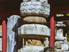 -四门塔风景区