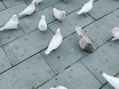 -华谊兄弟（长沙）电影小镇