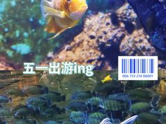 -重庆欢乐海底世界