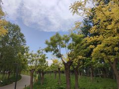 -东郊湿地公园