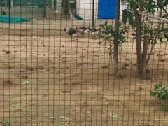 android_upload_pic-北京拉斐特城堡酒店