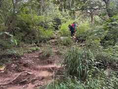 -阳台山自然风景区