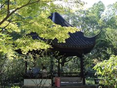 -上海醉白池公园