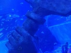 -乌鲁木齐海洋馆