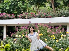 -人民公园(罗湖区)