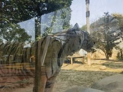 -常州淹城野生动物世界