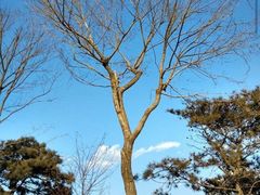 -兴城海滨风景区