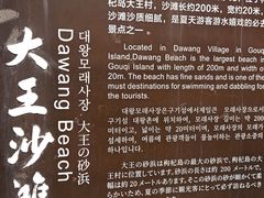 -大王村沙滩