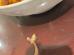 -老桐椿 · 上海大馄饨