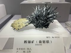 -湖南省地质博物馆