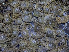 -聚盛源蒸汽海鲜火锅烤肉自助(巨川金海岸购物广场店)