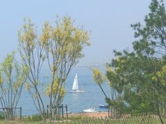 -小麦岛公园