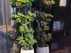 -奢月酒店(成都华西二院锦江院区三圣花乡地铁站店)