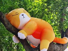 -西安电影制片厂