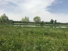 -香山公园