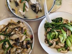 -田螺阿姨自营月嫂·育儿嫂(高新店)