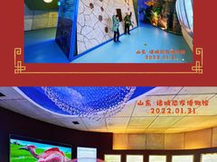 -诸城市恐龙博物馆