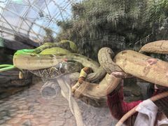 -大连森林动物园