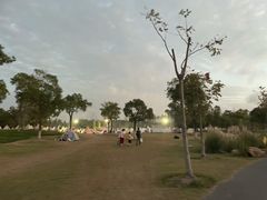 -上海长兴岛郊野公园