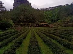 -武夷山风景名胜区-虎啸岩