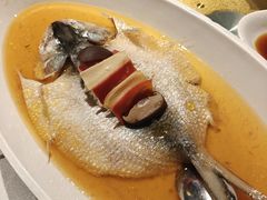 -金美华轩(东方路齐鲁店)