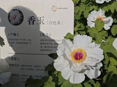-太阳宫公园