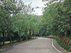 -田心森林公园