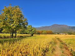 -塔川景区
