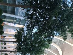 -银川河东国际机场