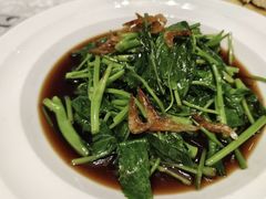 -广玉兰上海菜(德平店)