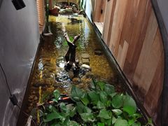 -邈墨茶馆(凤起路店)