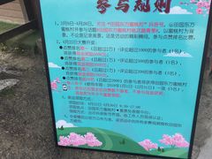 -田园东方蜜桃村的田野营地