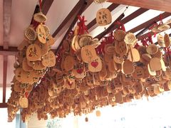 -桥香园云南过桥米线(金马碧鸡店)