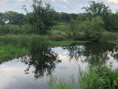 -西湖风景区-江洋畈生态公园