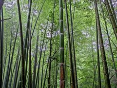 -龙脊梯田