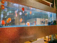 -上林铁板烧(延安西路店)