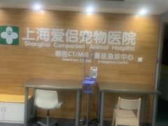 -爱侣宠医·鹦鹉专科·小型哺乳类·异宠专科(灵石路店)