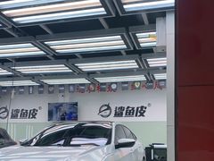 -鲨鱼皮汽车凹陷玻璃修复(静安店)